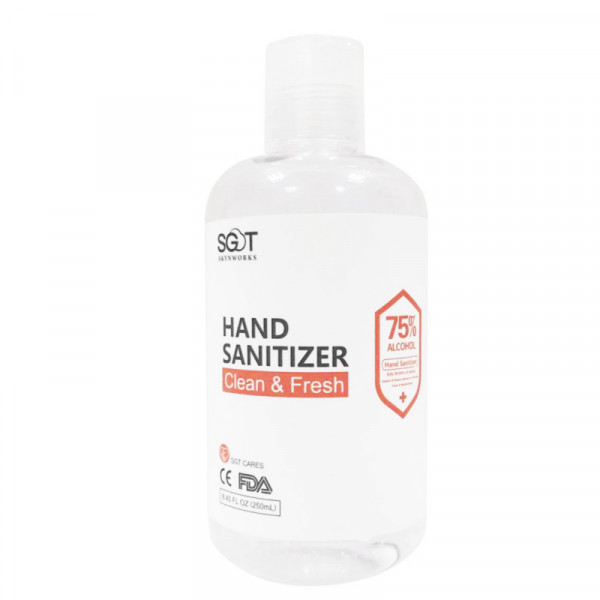 SGT Hand sanitizer / 75% Alcohol 免洗消毒洗手液 - 250ml