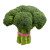 Broccoli / 西兰花 - 1个