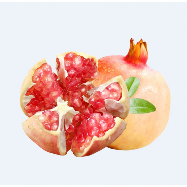 Yellow Pomegranate / 黄石榴 - 1PC
