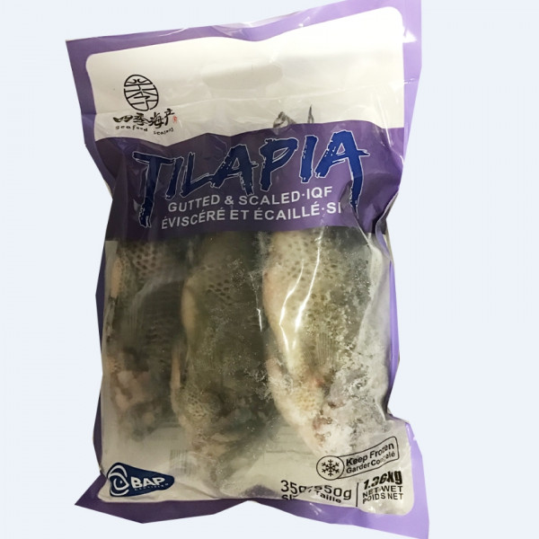 Frozen Tilapia Fish / 清肚金山侧  -1.36Kg