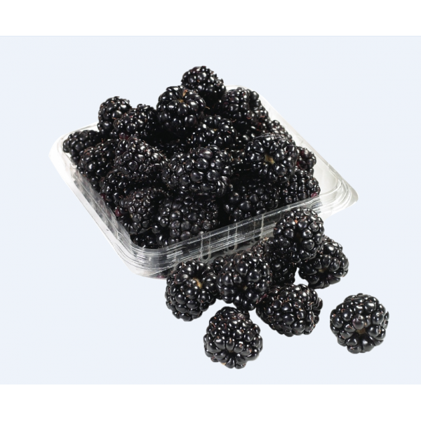 Blackberries / 黑莓一盒 