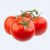 Vine Tomatoes /有枝西红柿 - 5 PCs 