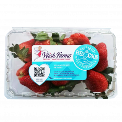 Strawberry / 草莓 - 1 Box