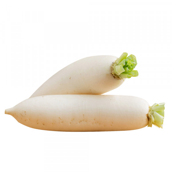 White Radish / 白萝卜- 1PCs