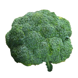 Broccoli Crowns  - 1 PC