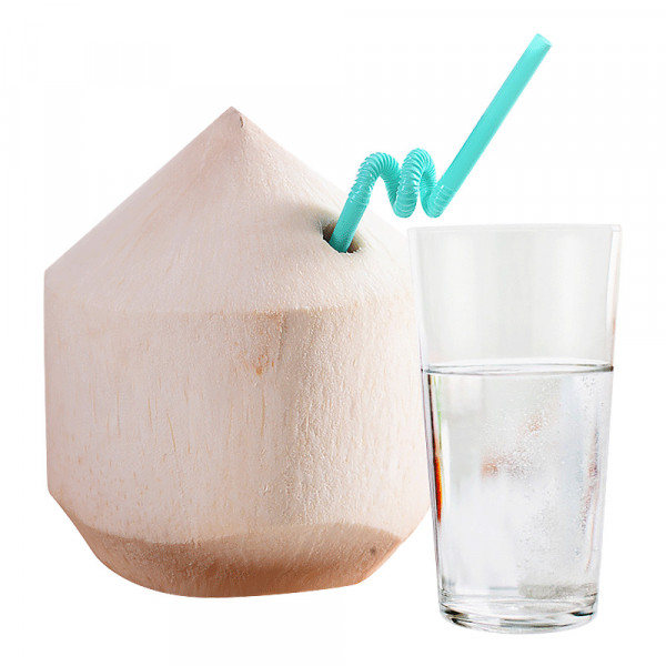 Coconut / 泰国水椰子 - 1PCs