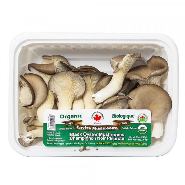Black Oyster Mushrooms BIO / 加拿大有机平菇 - 150g