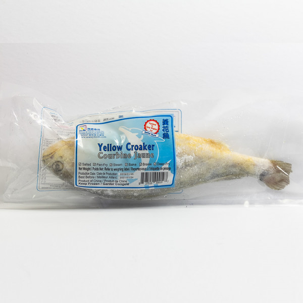 Yellow Croaker  ~1lb