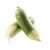 Green Radish/Lobok / 青萝卜 - 2个