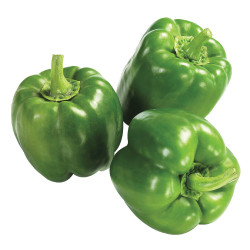 Sweet Green Peppers / 圆青椒 - 3个