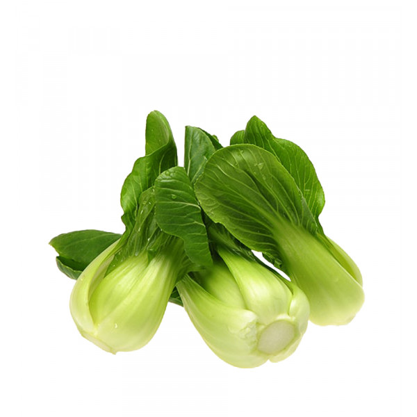 Shanghai Bok Choy ~ 2lbs