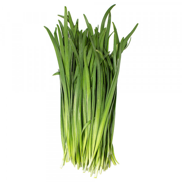 Chives  新鲜韭菜 ~ 1.5lbs