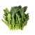 spinach / 新鲜菠菜 ~ 1.5lbs