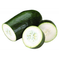 Winter Melon ~ 2lbs